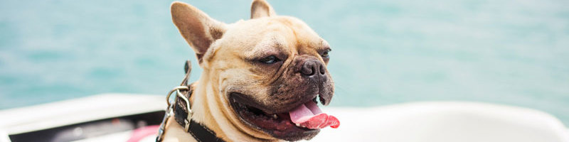 Read more about the article Why A Used Boat Might Be Right For You